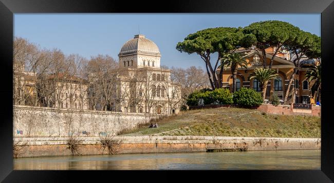 Tempio Maggiore di Roma  Framed Print by Naylor's Photography