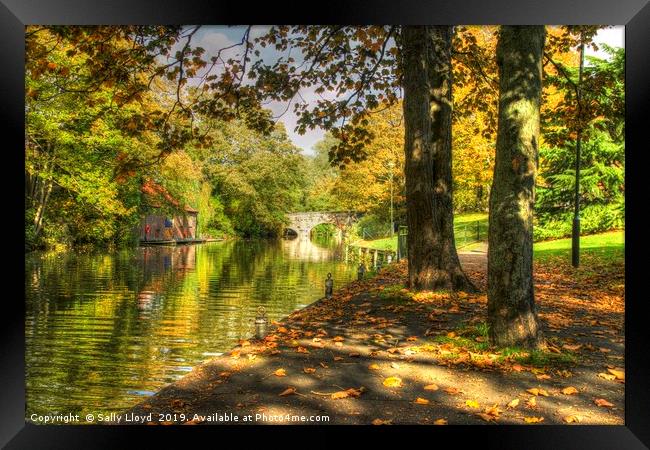 Autumnal River Wensum Norwich Framed Print by Sally Lloyd