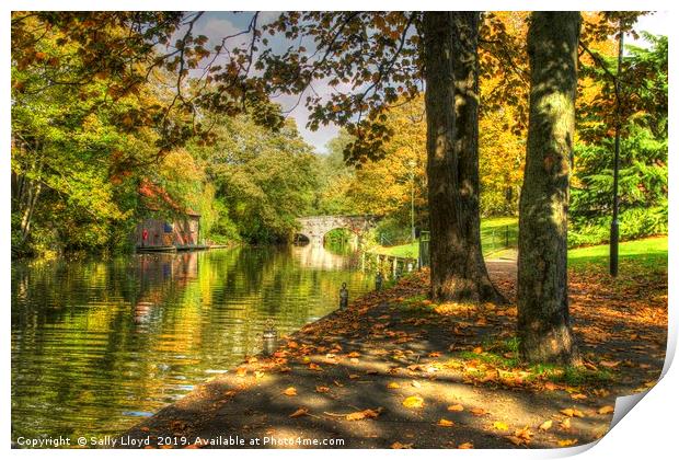 Autumnal River Wensum Norwich Print by Sally Lloyd