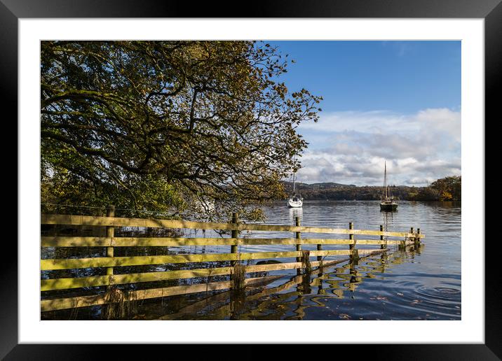 Sloping into Lake Windermere Framed Mounted Print by Jason Wells