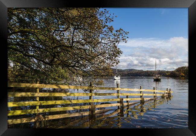 Sloping into Lake Windermere Framed Print by Jason Wells