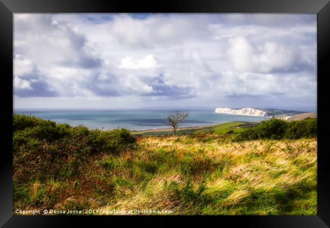 View across the Isle of Wight Framed Print by Donna Joyce