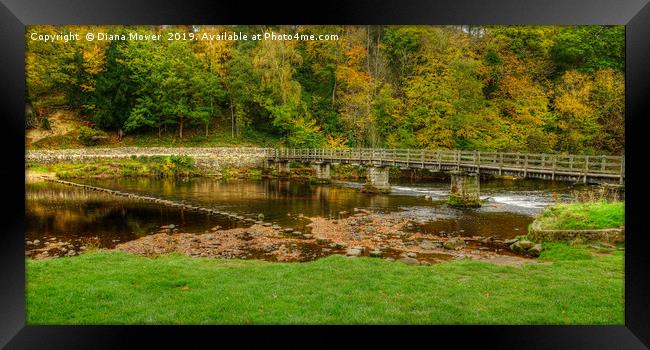 Bolton Abbey Stepping Stones and bridge  Framed Print by Diana Mower