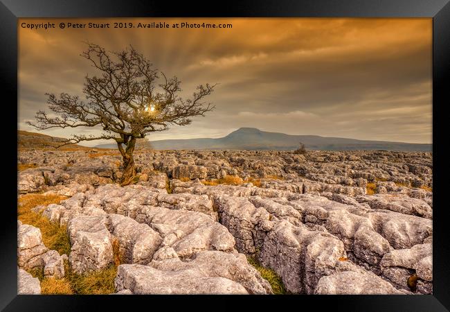 Twistleton Scar Framed Print by Peter Stuart