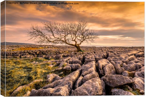 Twistleton Scar in the Yorkshire Dales Canvas Print by Peter Stuart