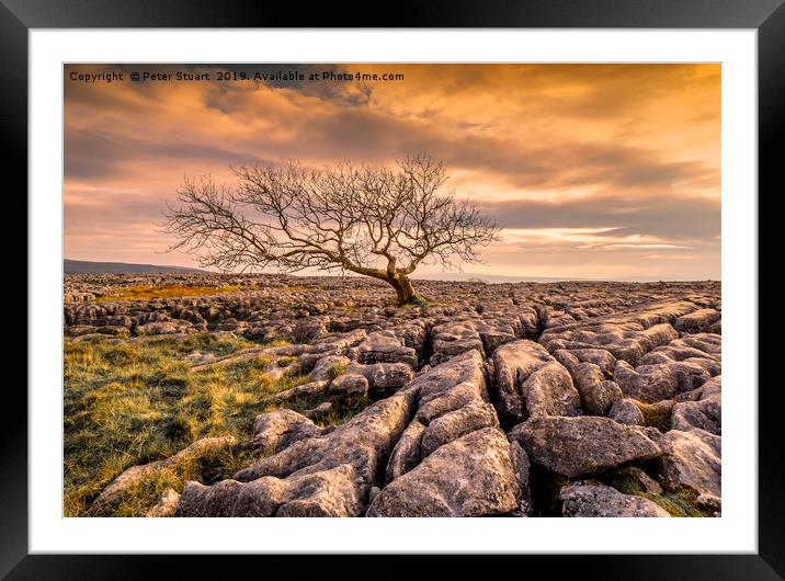 Twistleton Scar in the Yorkshire Dales Framed Mounted Print by Peter Stuart