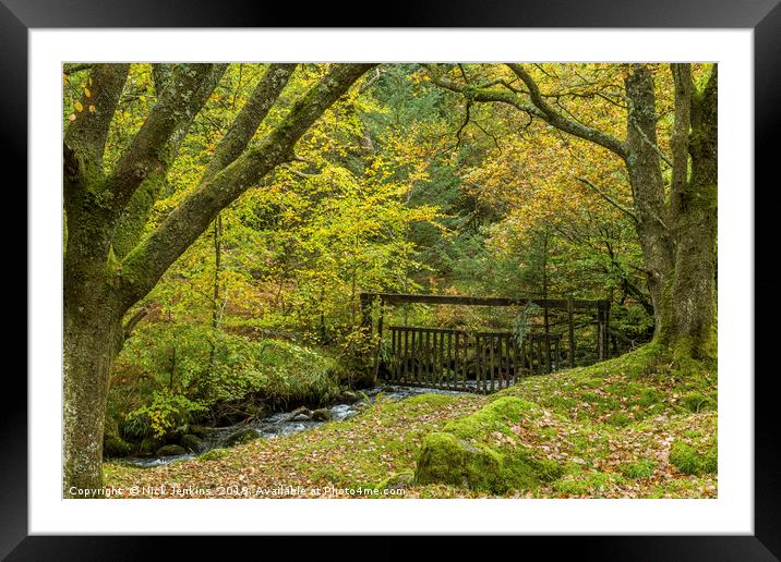 Autumn Woodland at Burrator Reservoir on Dartmoor Framed Mounted Print by Nick Jenkins