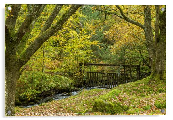 Autumn Woodland at Burrator Reservoir on Dartmoor Acrylic by Nick Jenkins