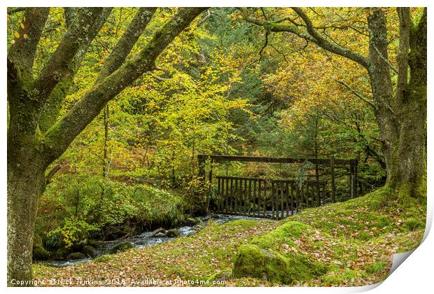 Autumn Woodland at Burrator Reservoir on Dartmoor Print by Nick Jenkins