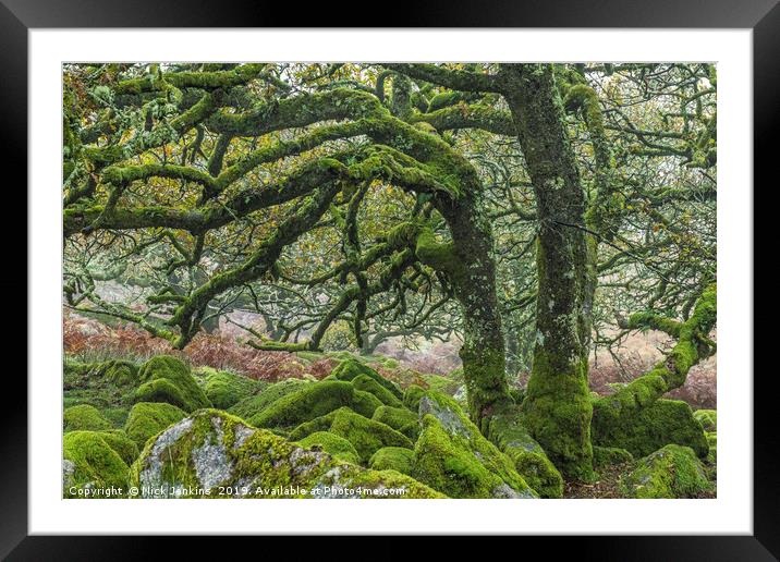 Wistmans Wood Oaks Dartmoor National Park Devon Framed Mounted Print by Nick Jenkins