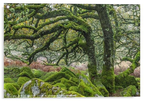Wistmans Wood Oaks Dartmoor National Park Devon Acrylic by Nick Jenkins