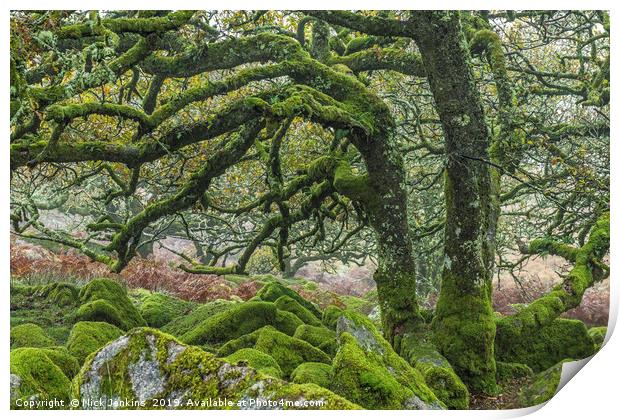 Wistmans Wood Oaks Dartmoor National Park Devon Print by Nick Jenkins