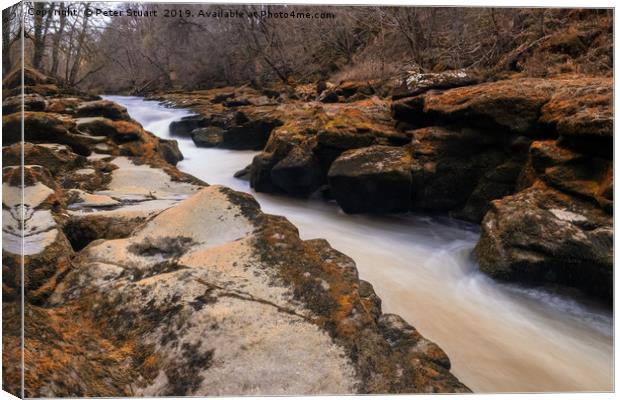 The Strid Canvas Print by Peter Stuart