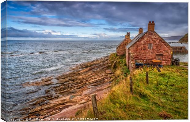 Cove harbour, Scottish Borders Canvas Print by Phil Reay