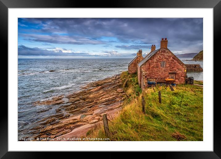 Cove harbour, Scottish Borders Framed Mounted Print by Phil Reay