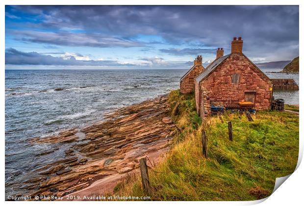 Cove harbour, Scottish Borders Print by Phil Reay