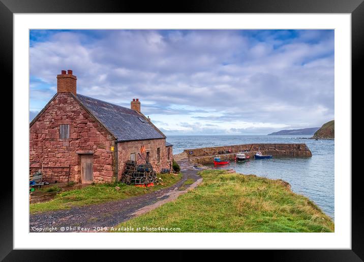 Cove harbour, Scottish Borders Framed Mounted Print by Phil Reay