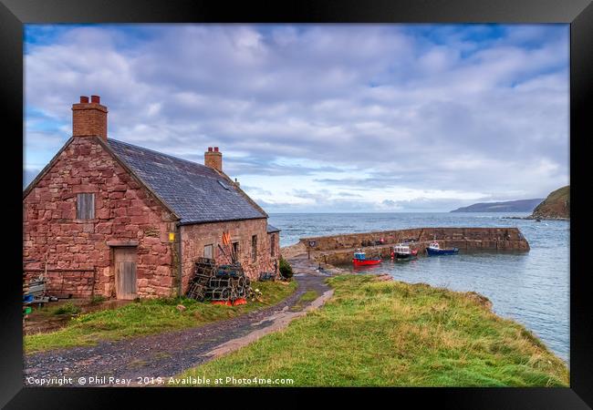 Cove harbour, Scottish Borders Framed Print by Phil Reay