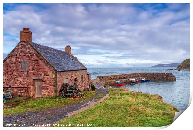 Cove harbour, Scottish Borders Print by Phil Reay