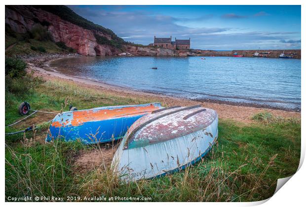 Boats at Cove harbour, Scottish Borders Print by Phil Reay