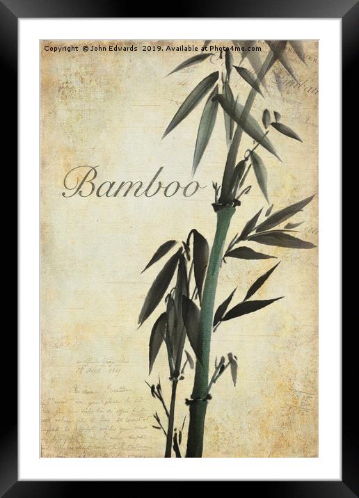 Bamboo Framed Mounted Print by John Edwards