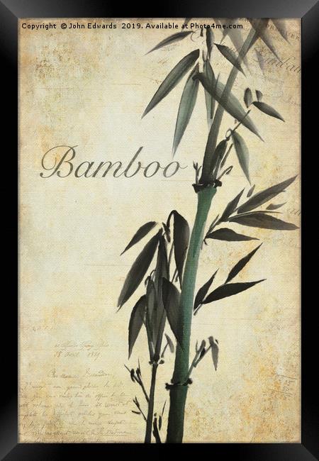 Bamboo Framed Print by John Edwards