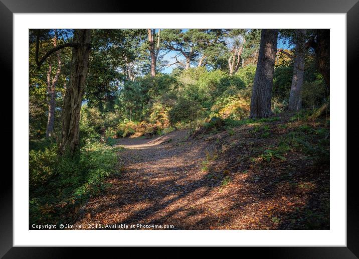Autumn Colours on the Footpath Framed Mounted Print by Jim Key