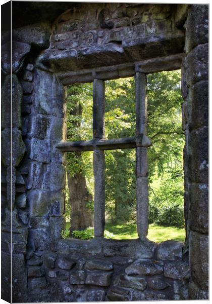A window view Canvas Print by David McCulloch