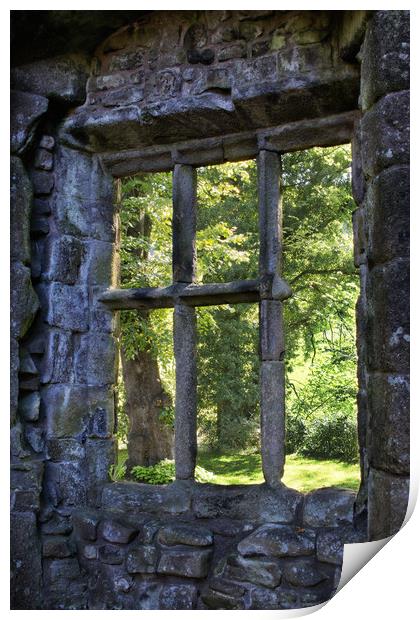 A window view Print by David McCulloch