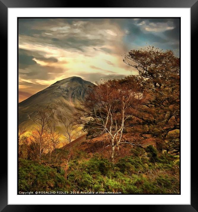 "Trees at Great Gable" Framed Mounted Print by ROS RIDLEY