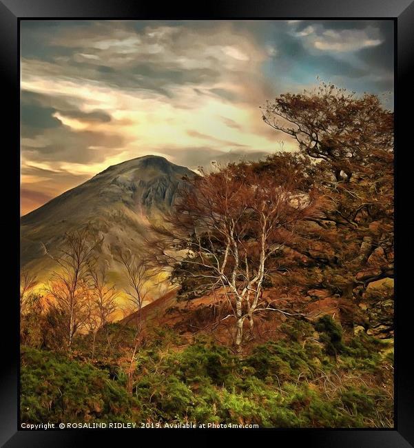 "Trees at Great Gable" Framed Print by ROS RIDLEY