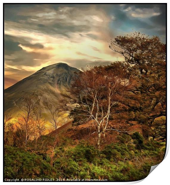 "Trees at Great Gable" Print by ROS RIDLEY