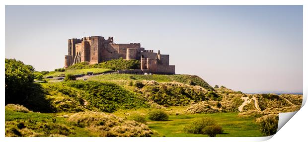 Bamburgh Castle from another place Print by Naylor's Photography