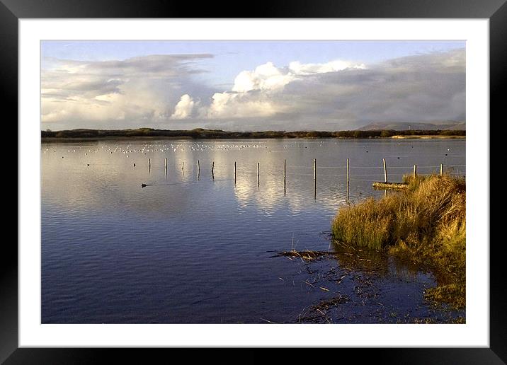 Kenfig Nature Reserve Framed Mounted Print by Brian Beckett