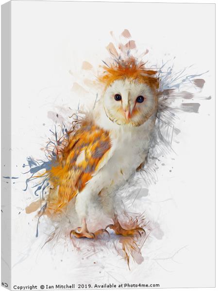 Barn Owl Painting Canvas Print by Ian Mitchell