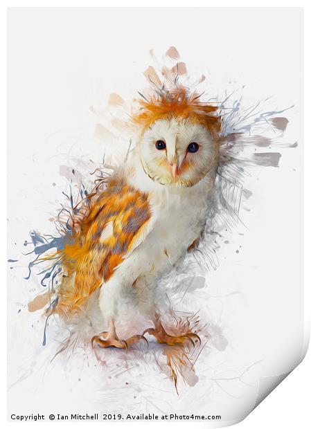 Barn Owl Painting Print by Ian Mitchell