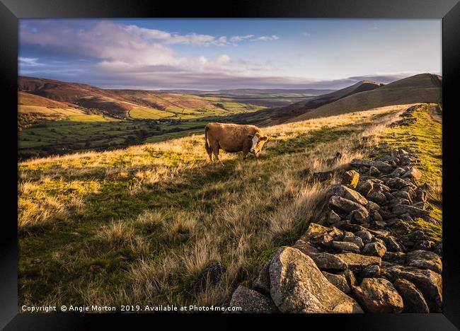 Vale of Edale Framed Print by Angie Morton
