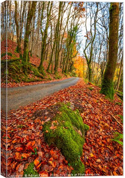 Country Path Autumn  Canvas Print by Adrian Evans
