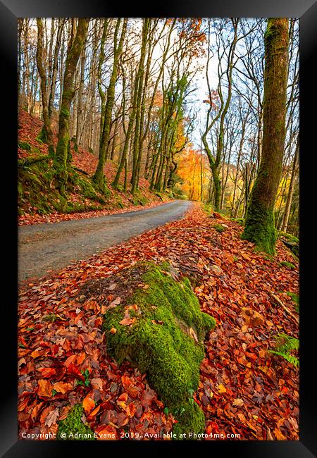 Country Path Autumn  Framed Print by Adrian Evans