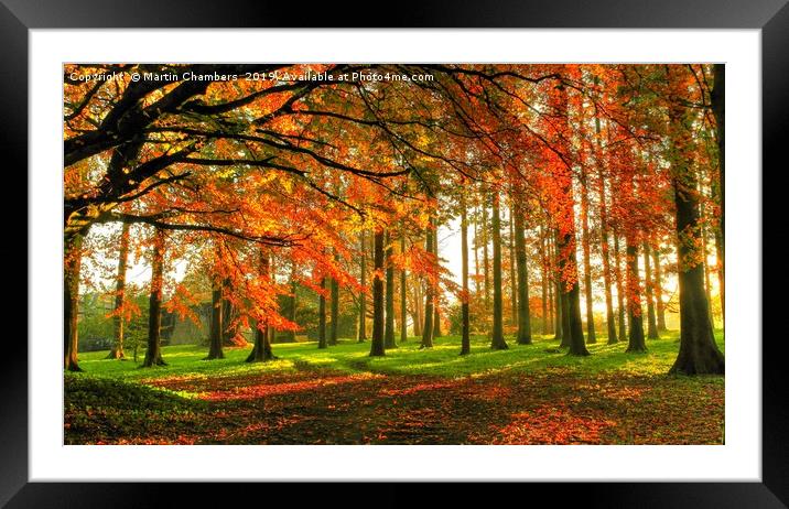 Autumn Scene Framed Mounted Print by Martin Chambers