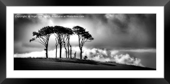 Standing Tall Framed Mounted Print by Nigel Lee