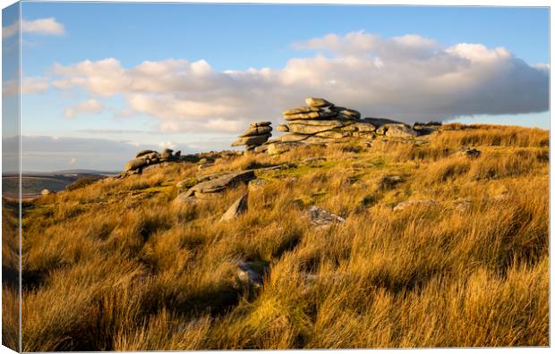 Stowes Hill Bodmin Moor Canvas Print by CHRIS BARNARD