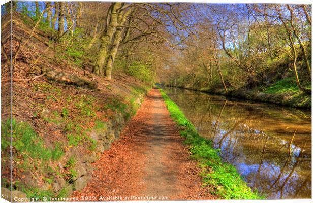 Towpath on the Union Canal Canvas Print by Tom Gomez