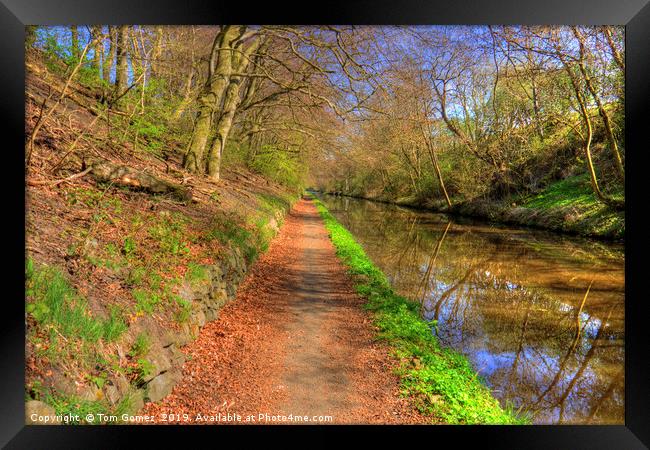 Towpath on the Union Canal Framed Print by Tom Gomez