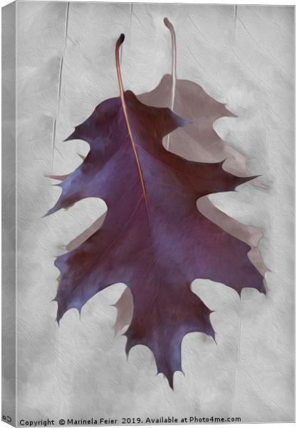 Dance of Autumn Canvas Print by Marinela Feier