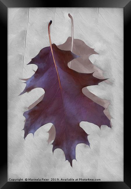 Dance of Autumn Framed Print by Marinela Feier