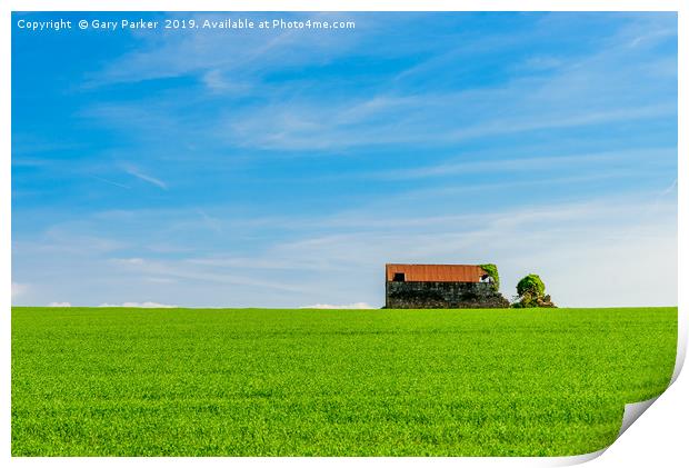 Abandoned farm building, standing in a green field Print by Gary Parker