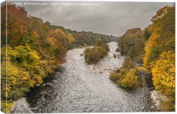 Autumn on the River Tees at Winston 1 Canvas Print by Richard Laidler