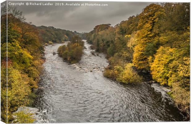 Autumn on the River Tees at Winston 2 Canvas Print by Richard Laidler