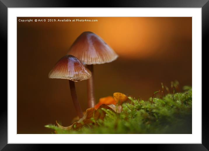 New Forest Fungi Framed Mounted Print by Art G